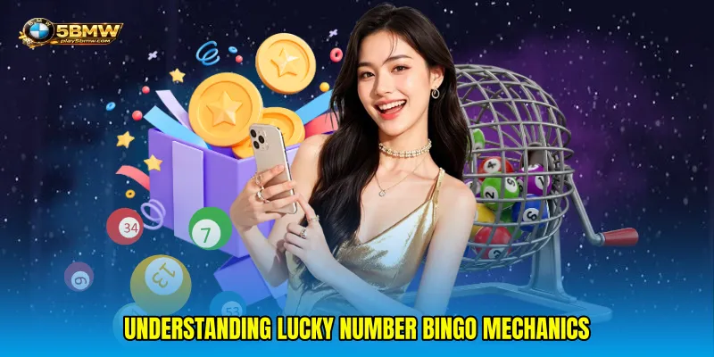 Understanding Lucky number bingo Mechanics